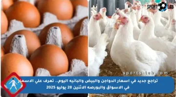 تراجع جديد في أسعار الدواجن والبيض والبانية اليوم.. تعرف على الأسعار في الأسواق والبورصة الاثنين 28 يوليو 2025